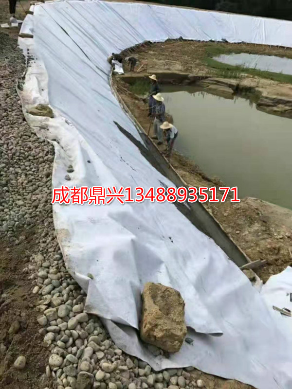 藕池(魚塘)防滲土工膜